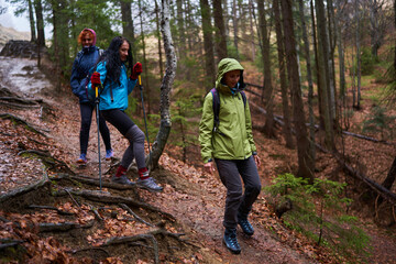 HIkers with backpacks on a trail in a rainy day - 800985099