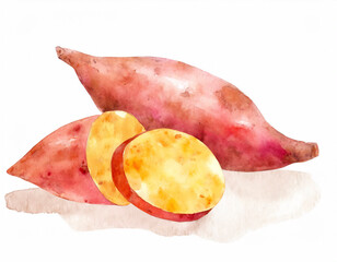 サツマイモの水彩イラスト