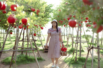 Asian woman in good mood looking at apples in the apple orchar