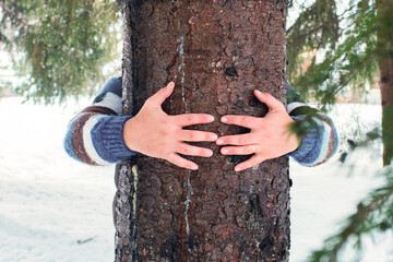 People and environment nature and forest protection concept lifestyle. Mman hidden behind a trunk hugging ti with colorful knitted gloves. Snow winter scenic place. Holiday vacation in winter