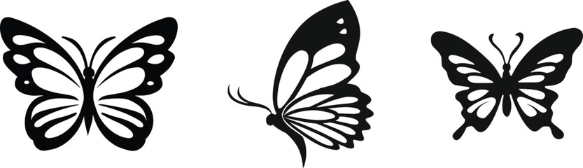 Set of a butterfly, vector illustration.