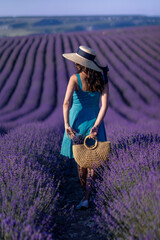 A woman wearing a straw hat and a blue dress is walking through a field of lavender. She is holding a basket and she is enjoying the scenery.
