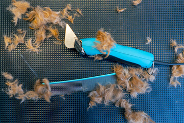 close-up in a grooming salon red wool and comb trimmer after cutting on a professional blue table