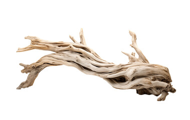 A dynamic driftwood piece with intricate twists and a smooth texture, isolated on a transparent background. Generative AI