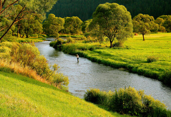 Idillic green nature landscape, Meadow and trees on the river bank in afternoon sunlight. Unrecognizable people fishing in the distance.