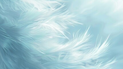 fondo azul . primer plano de pluma de ave