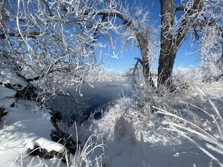 snow is piled on trees and grass in the middle of a lake