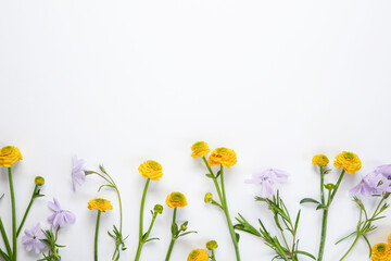 Meadow flowers with field buttercups and purple flowers isolated on white background. Top view with...