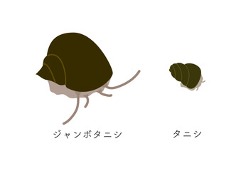 ジャンボタニシとタニシ、大きさ比較、文字入り