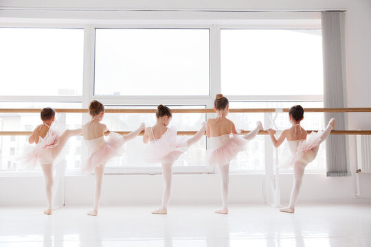 Rear view of group of little girls, ballet dancers in tutus practicing, stretching on barre at light dance studio. Classical ballet school. Concept of art, sport, education, hobby, active lifestyle.