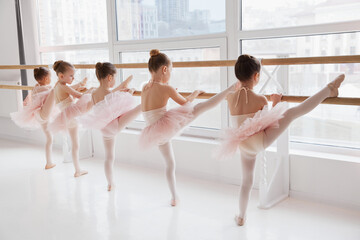 Group portrait of little girls, ballet dancers in tutus practicing, stretching on barre at light...