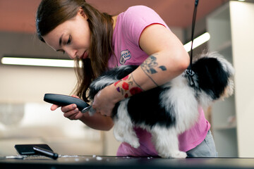 in the grooming salon small white-black dog is washed and paws are trimmed by the groomer