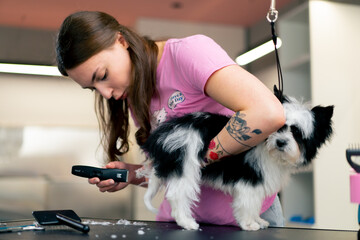 in the grooming salon small white-black dog is washed and paws are trimmed by the groomer