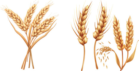 Naklejka premium Cartoon rye spikelet. Spikelets grain cereals whole barley, ears wheat, bouquet oat plants