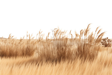 Golden grassland stretching to the horizon with scattered trees under a pale sky, evoking the...