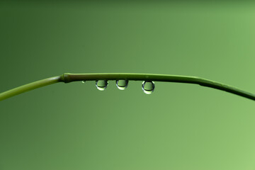 緑背景に美しい水滴