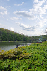 Lake in the forest, the bathhouse is located with access to the lake, nature