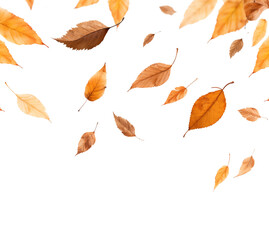 A dynamic arrangement of autumn leaves in mid-fall, with a palette of warm tones against a transparent background. Generative AI