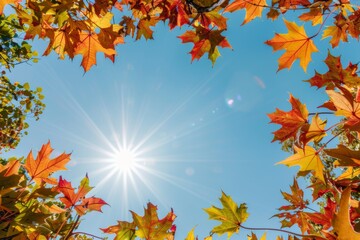 Obraz premium Sunburst Through Vibrant Autumn Maple Leaves