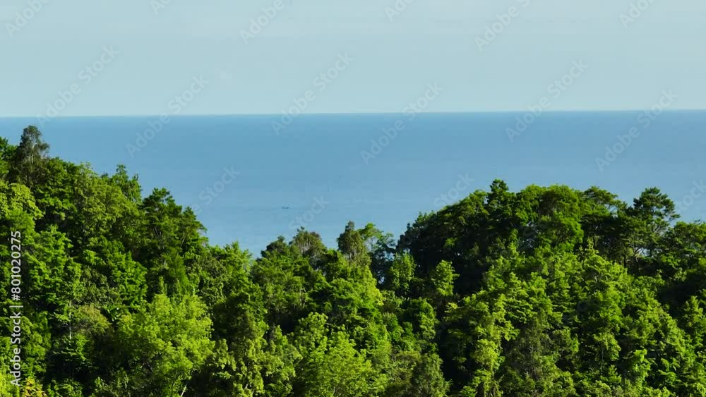 Wall mural Sea view through tropical forest and jungle. Sumatra, Indonesia. - Wall murals