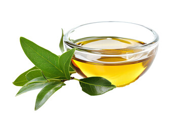 Tea Tree Oil, isolated on transparent background, studio light
