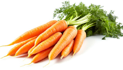 Möhrenbund isoliert auf weißen Hintergrund, Freisteller