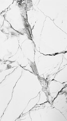 White Beauty marble with crisp white background and delicate gray veins