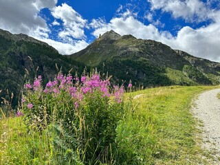 Paesaggi di montagna