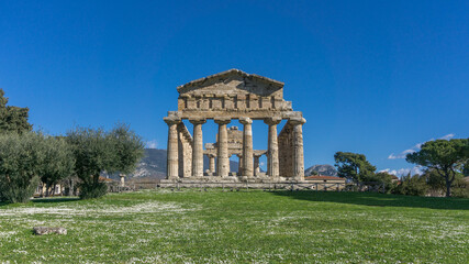 Temple of Athena also known as Temple of Ceres with blooming meadow at Paestum Archaeological UNESCO World Heritage Site, Salerno, Campania, Italy