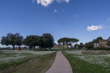 Path to the Temple of Athena with blooming daisy flowers on meadow at Paestum Archaeological UNESCO World Heritage Site, Salerno, Campania, Italy