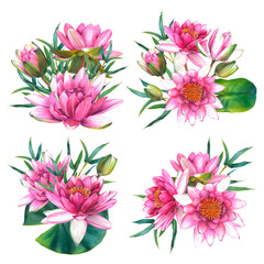 Obraz premium Pink water lily flowers with green leaves, bamboo twigs. Hand drawn watercolor illustration of lotus on isolated background. Botanical drawing for the design of invitations, cards, posters, fabrics.
