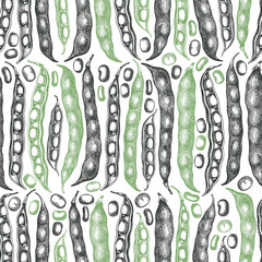 Hand drawn broad beans seamless pattern. Organic fresh food vector illustration. Retro pods illustration. Engraved botanical style cereal background.