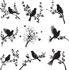 set of birds silhouettes