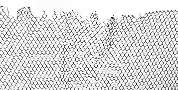High net fence with barbed wire isolated on white background. meadow.  illustration.