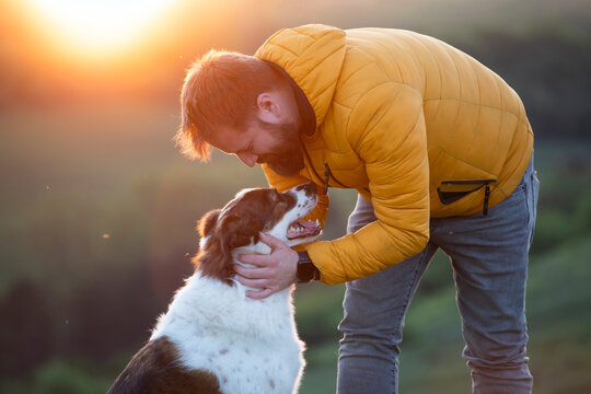 Happy dog and man playing outdoor