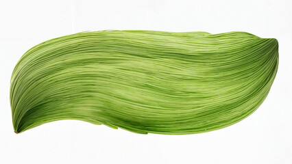 Green stroke of paint texture isolated on transparent background green paint brush stroke isolated over. Green oil paint.