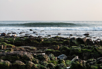 View of the seaside with the moss-covered rocks