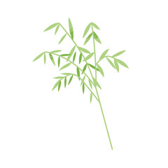 Bamboo branch, green leaves. Decorative exotic leaf twig, tropical natural design element. Foliage plant. Modern botanical floral decoration. Flat vector illustration isolated on white background