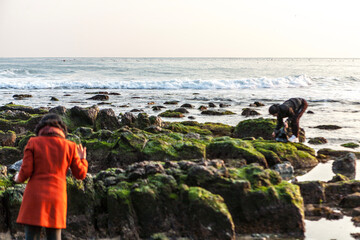 View of the seaside with the moss-covered rocks
