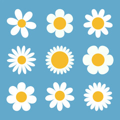 White chamomile icon. Daisy Camomile set. Cute round flower head plant collection. Love card symbol. Growing concept. Simple flat design. Nature childish style. Isolated. Blue background. Vector