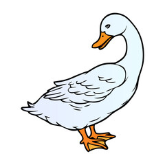 duck vector illustration