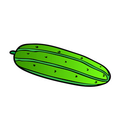 cucumber vector illustration