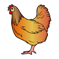 hen vector illustration