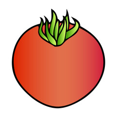 tomato vector illustration