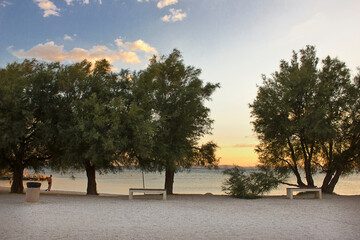 Landscape with beach and sea. Sunset on the beach among trees