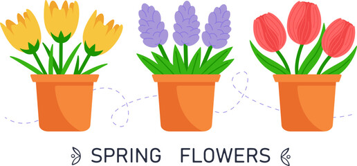 Spring flowers in pots. Cute colorful flowers. Vector illustration