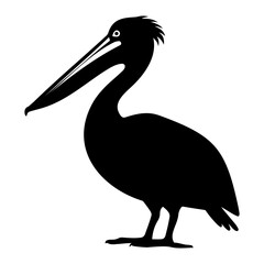 Pelican bird silhouette. Vector illustration