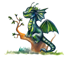 Fototapeta premium Fantasy drawing of a green forest dragon on a tree. Watercolor drawing on a white background.