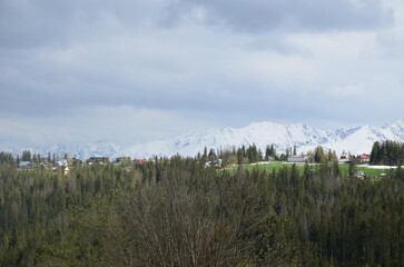 wonderful panorama of the Polish Tatras, sunny day, blue sky, spring day, green meadow, snow on the mountains