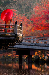 A woman dressed in a kimono holding an umbrella and admiring the autumn view in Nara Park, Japan.